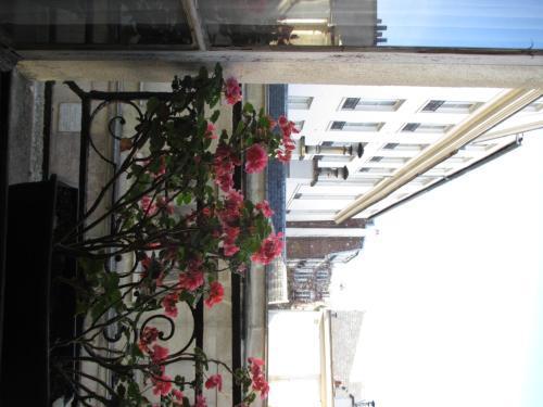Stella Hotel Parigi